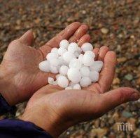 Стихия помля реколтата! Град като лешник удари Северозапада