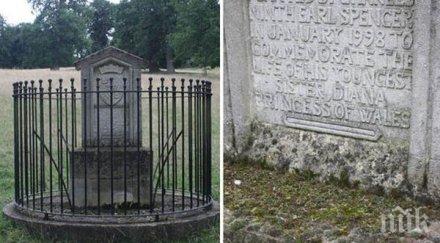 гробът даяна изоставен обрасъл мъх лишеи