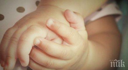 уникум показаха новородените петзнаци австралия снимка