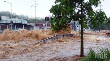 полицията камбоджа арестувала осем активисти сред граждани швеция германия