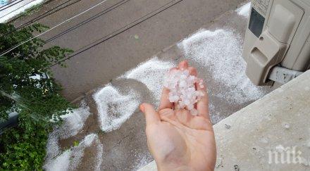 свирепа градушка очука ловеч видео