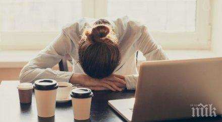 всички предприемачи българия жени