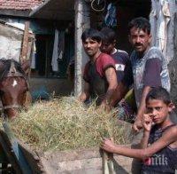 Интегрираме ромите с нов план