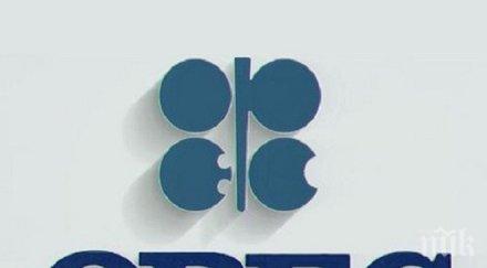 роснефт вътрешните различия убиват опек