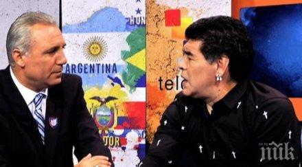 390 коня возят марадона софия