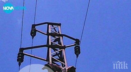 мечка покатерила електрически стълб токът убил