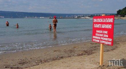 никой иска четири варненски плажа намалиха цените
