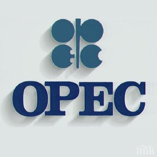„Роснефт“: Вътрешните различия убиват ОПЕК