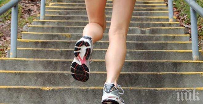 Надбягване по стълби ще отбележи деня без асансьори в София