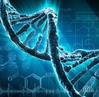 Проект за подобрено синтезиране на човешко ДНК от химикали обсъждат на тайна среща в Харвард
