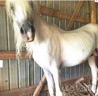 Жители на кв.