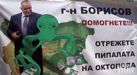 пик зеленият октопод нарежда министър фейсбук тома белев харесал поръчка 700 000 лева