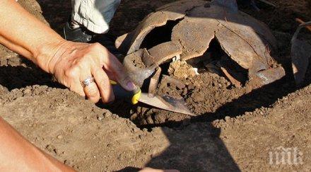 сащ откриха ранното човешко селище континента