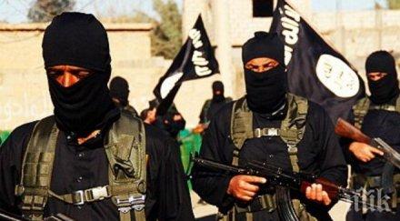 нигерия заловен ключов главатар ислямска държава