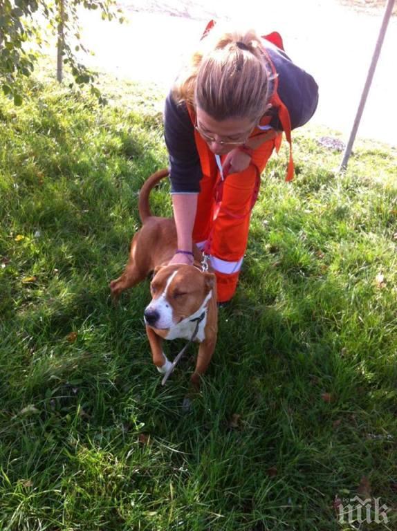 Доброволци ще чистят и боядисват съоръжения за сиропиталища