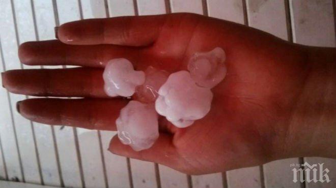 Извънредно! Градушка удари Плевен