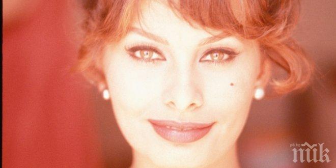 Eто как звездите си избират артистични имена