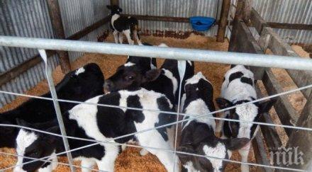 българия подкрепя създаването платформа хуманно отношение животните