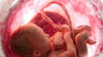 простреляното корема майка бебе косъм смъртта