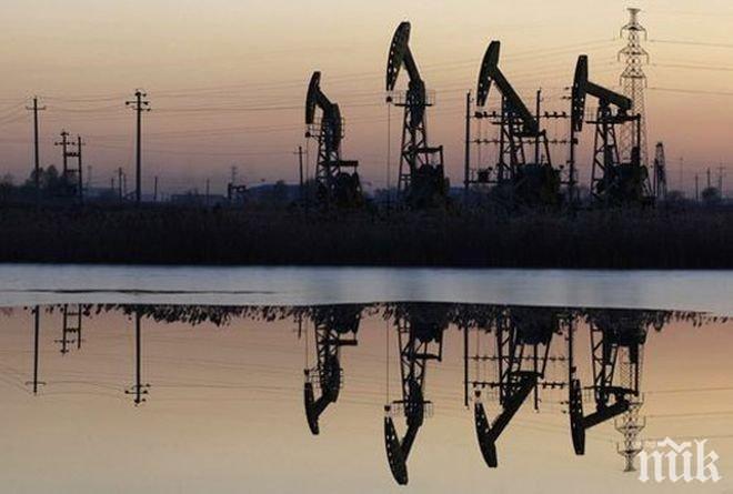 Задържаха бивш директор на държавната петролна компания в Еквадор