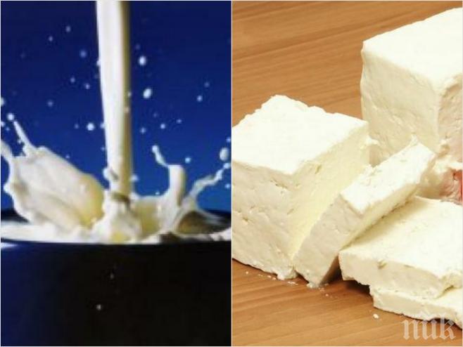 БАБХ откри 7 тона сирене с немлечни мазнини 