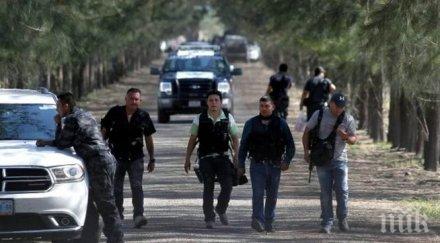 трагедия мексико откриха останки отвлечените години студенти