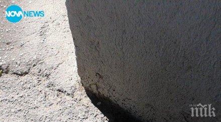 пороите асфалта поникнаха гъби