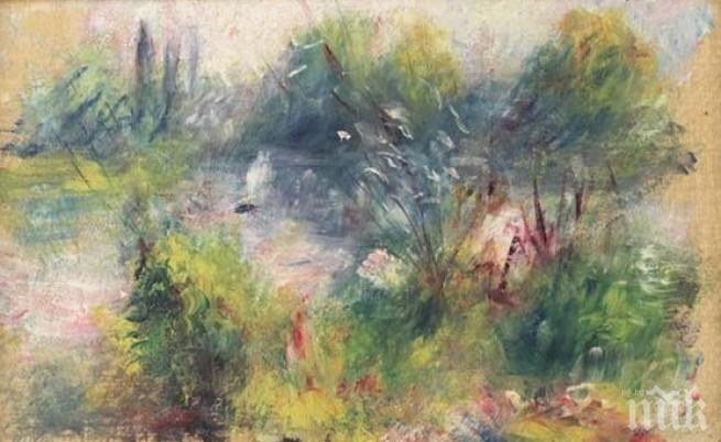 Купиха платно на Реноаp по интернет за 700 долара