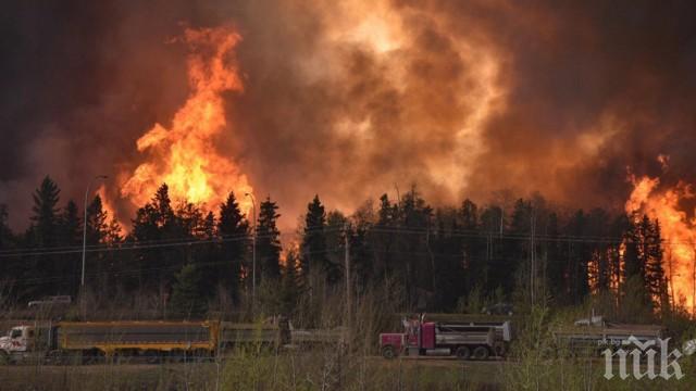 Площта на горските пожари в канадската провинция Алберта се е увеличила до 335 000 хектара