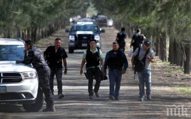 Трагедия! В Мексико откриха останки на отвлечените преди 2 години студенти