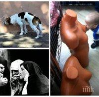 С тези снимки доказваме, че нашите навици са по-силни от нас! 