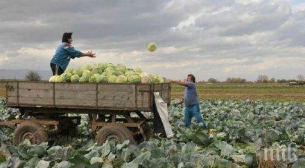 дават пари вместо ваучери гориво