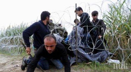 извънредно пик германското разузнаване предупреждава бежанският поток тръгва българия софия подготвена