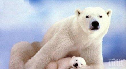 климатичен сайт обратна връзка позволява учените поправят грешки медиите