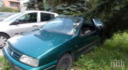 клошари живеят автомобил паркиран неправилно улица софия снимка