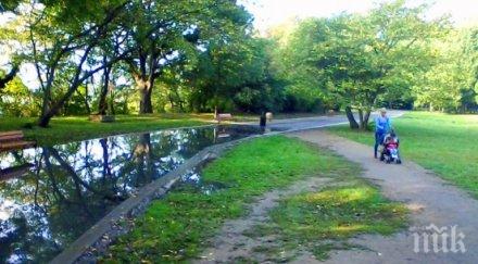 дива благотворителна неделя борисовата градина