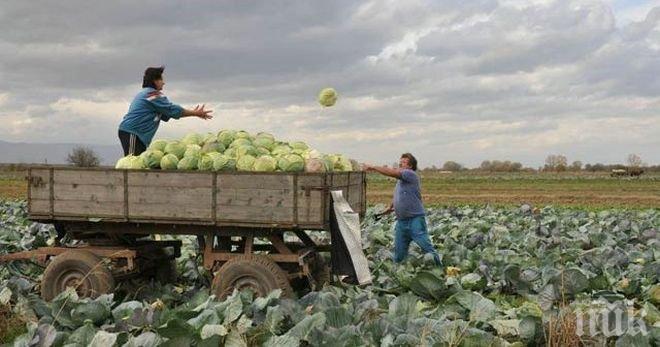 Дават пари вместо ваучери за гориво