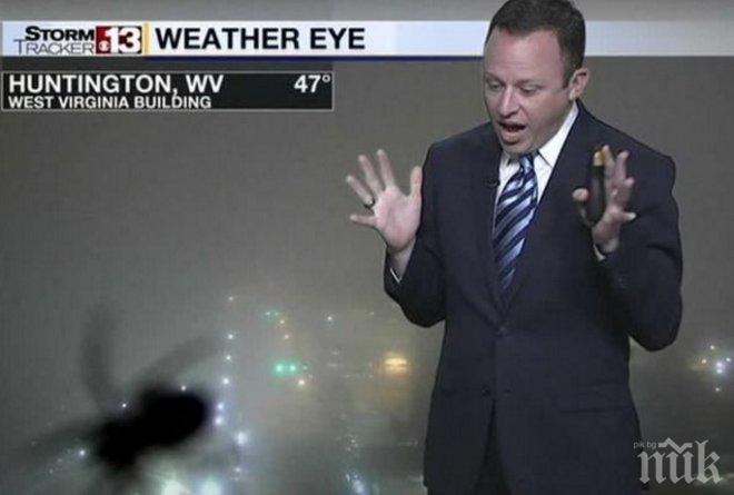 ТВ водещ изпадна в ужас в ефир! Докато съобщаваше прогнозата за времето, пред очите му изникна...(СНИМКА/ВИДЕО)