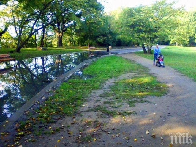 Дива и благотворителна неделя в Борисовата градина