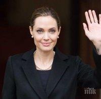 Анджелина Джоли вече е професор