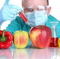 Русия може да забрани вноса на храни от ЕС заради ГМО

