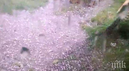 градушка орех попиля козлодуй