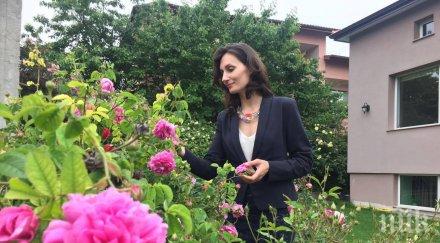 кметица отглежда двора 150 вида рози