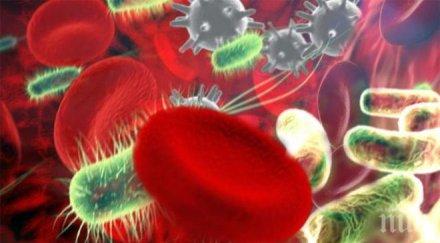 откритие чревните бактерии причина слабата памет