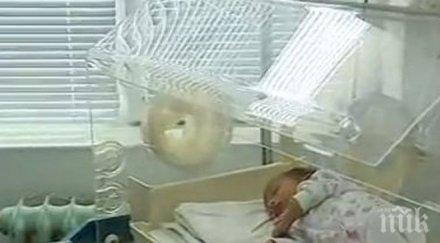 ексклузивно пик малката ралица изоставена чанта майка снимка