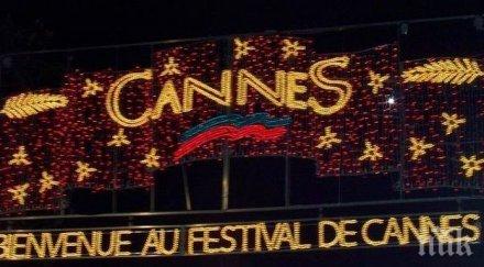 филмът даниел блейк получи златната палма кан