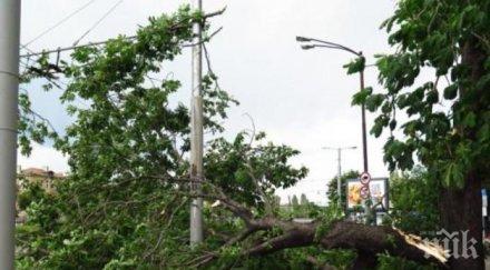 аларма пик клони хвърчат бурята софия пазете силния вятър снимки