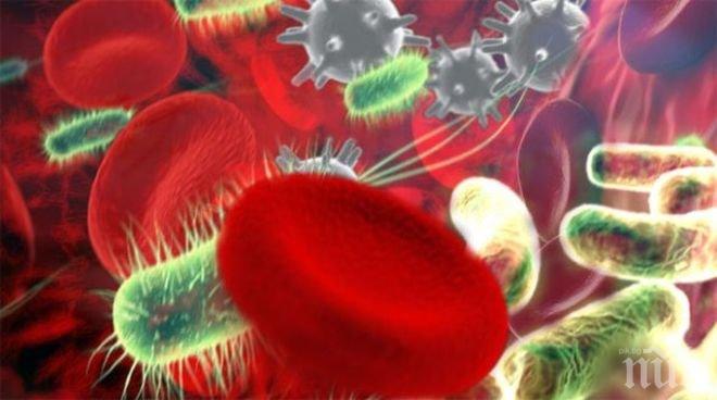 Откритие! Чревните бактерии са причина за слабата памет