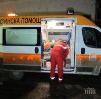 Лош късмет! Бик смаза жестоко пастир в първия му работен ден (СНИМКА)