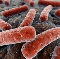 Откриха супербактерия, резистентна към всички антибиотици